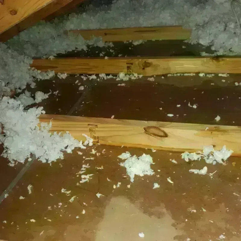 Attic Water Damage in Glenville, WV